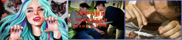 прущий лед Козельск
