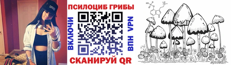 как найти закладки  Ленинск  Галлюциногенные грибы мицелий 