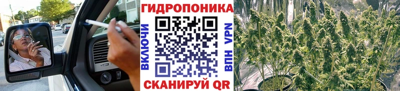 закладки  Ленинск  Конопля семена 